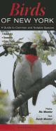 Birds of New York: A Guide to Common and Notable Species - Minetor, Randi, and Minetor, Nic