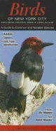 Birds of New York City Including Central Park & Long Island: A Guide to Common and Notable Species