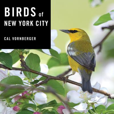 Birds of New York City - Vornberger, Cal