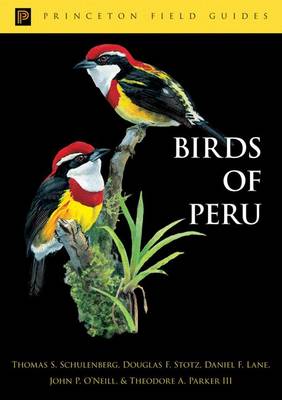 Birds of Peru - Schulenberg, Thomas S, and Stotz, Douglas F, and Lane, Daniel F