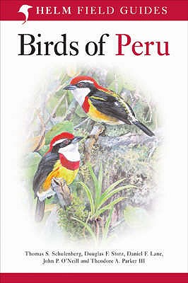 Birds of Peru - Stotz, Douglas F., and Schulenberg, Thomas S., and O'Neill, John P. (Illustrator)