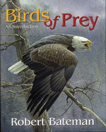 Birds of Prey: An Introduction