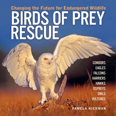 Birds of Prey Rescue: Changing the Future for Endangered Wildlife - Hickman, Pamela