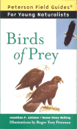 Birds of Prey - Latimer, Jonathan P, and Nolting, Karen Stray, and Peterson, Virginia Marie (Foreword by)