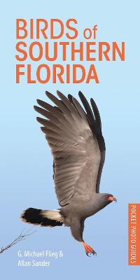 Birds of Southern Florida - Flieg, G. Michael