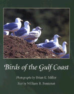 Birds of the Gulf Coast