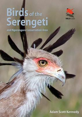 Birds of the Serengeti: And Ngorongoro Conservation Area - Kennedy, Adam Scott