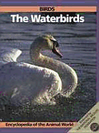 Birds : the waterbirds