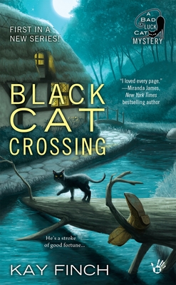 Black Cat Crossing - Finch, Kay