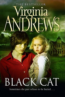Black Cat - Andrews, Virginia