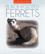 Black-Footed Ferrets