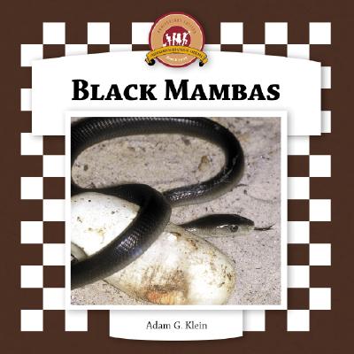 Black Mambas - Klein, Adam G