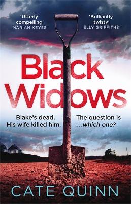 Black Widows: 'I could not put it down!' MARIAN KEYES - Quinn, Cate