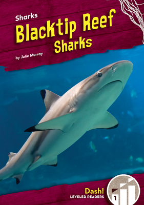 Blacktip Reef Sharks - Murray, Julie