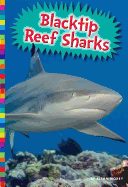 Blacktip Reef Sharks