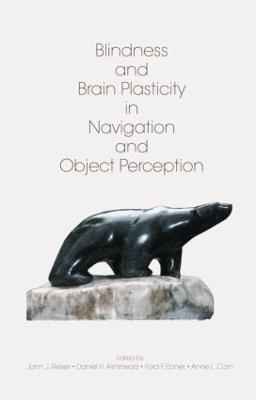 Blindness and Brain Plasticity in Navigation and Object Perception - Rieser, John J (Editor), and Ashmead, Daniel H (Editor), and Ebner, Ford (Editor)