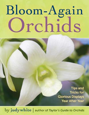 Bloom-Again Orchids: 50 Easy-Care Orchids That Flower Again and Again and Again - Judywhite