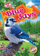 Blue Jays