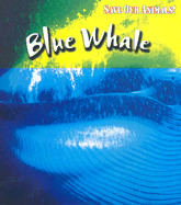 Blue Whale