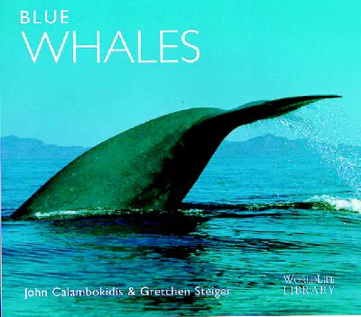 Blue Whales by John Calambokidis, Gretchen Steiger - Alibris