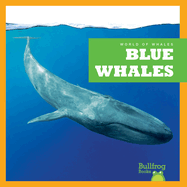 Blue Whales