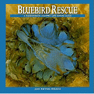 Bluebird Rescue