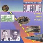 Bluesology