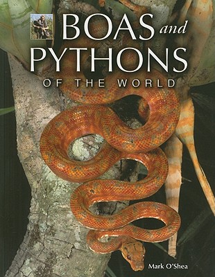 Boas and Pythons of the World - O'Shea, Mark