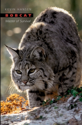 Bobcat: Master of Survival - Hansen, Kevin