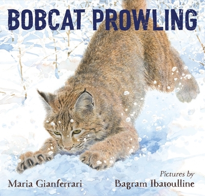 Bobcat Prowling - Gianferrari, Maria