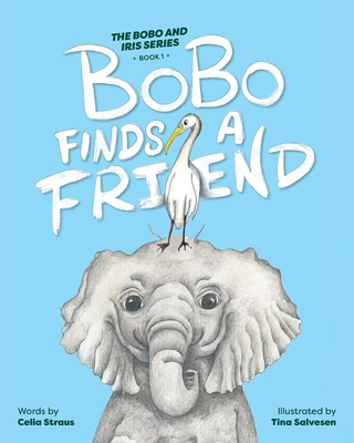 BoBo Finds A Friend - Straus, Celia, and Salvesen, Tina