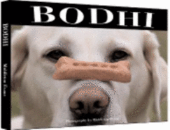 Bodhi: The All American Lodge Dog - Evans, Middleton