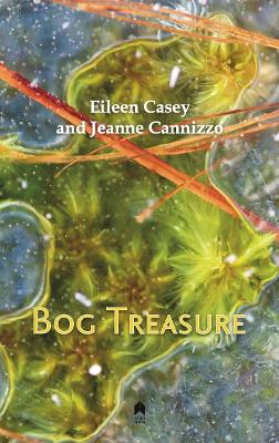 Bog Treasure - Casey, Eileen