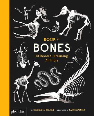 Book of Bones: 10 Record-Breaking Animals - Brewster, Sam (Artist), and Balkan, Gabrielle
