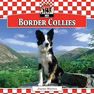 Border Collies