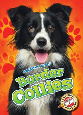 Border Collies - Sabelko, Rebecca