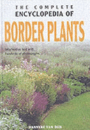 Border Plants