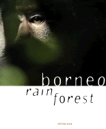 Borneo Rainforest