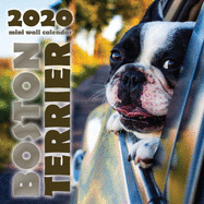 Boston Terrier 2020 Mini Wall Calendar
