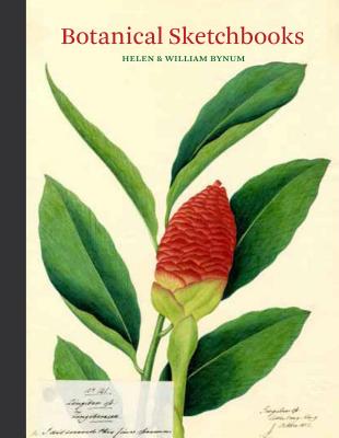 Botanical Sketchbooks: (Over 500 Years of Beautiful Botanical Sketches by 80 Artists from Around the World, from Leonardo Da Vinci to John Muir) - Bynum, Helen (Compiled by), and Bynum, William (Compiled by)