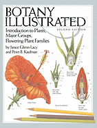 Botany Illustrated: Introduction to Plants, Major Groups, Flowering Plant Families