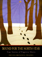 Bound for the North Star: True Stories of Fugitive Slaves