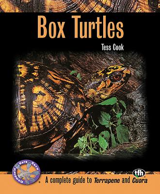 Box Turtles - Cook, Tess