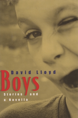 Boys: Stories and a Novella - Lloyd, David