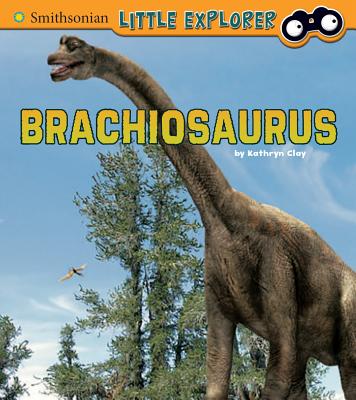 Brachiosaurus - Clay, Kathryn