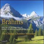 Brahms: Chamber Music for Winds & Strings