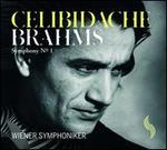 Brahms: Symphony No. 1