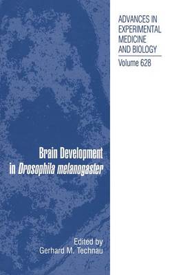 Brain Development in Drosophila Melanogaster - Technau, Gerhard Martin (Editor)