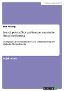 Branch point effect und kompensatorische Phosphorylierung: Gezeigt am Glyoxylatzyklus bei E.coli unter Erkl?rung der Michaelis-Menten-Kinetik