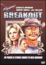 Breakout - Tom Gries